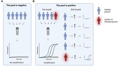 The COVID-19 pandemic reveals the wide-ranging role of biobanks